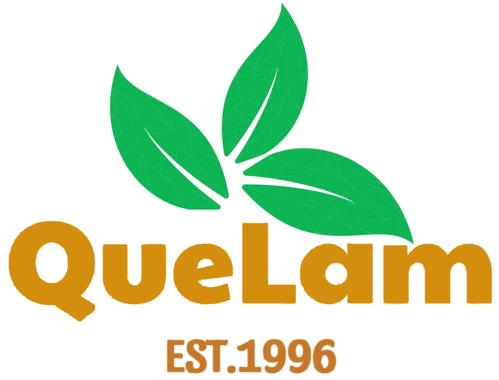 Vietnam Cinnamon Exporter – Que Lam