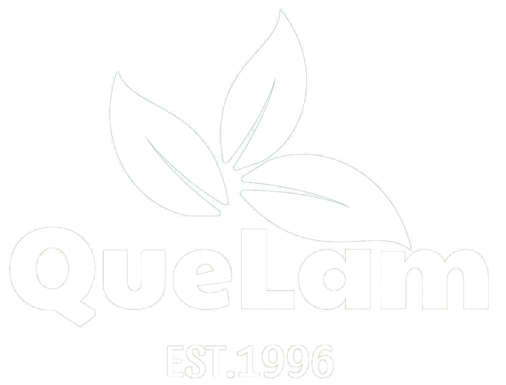 Vietnam Cinnamon Exporter – Que Lam